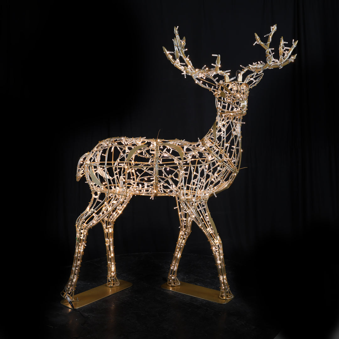 Deer Family, Buck