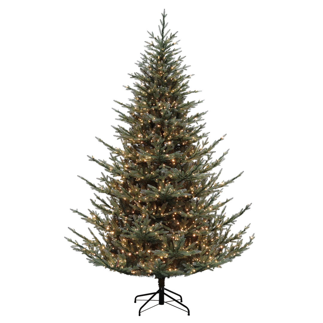 Christmas Tree 19