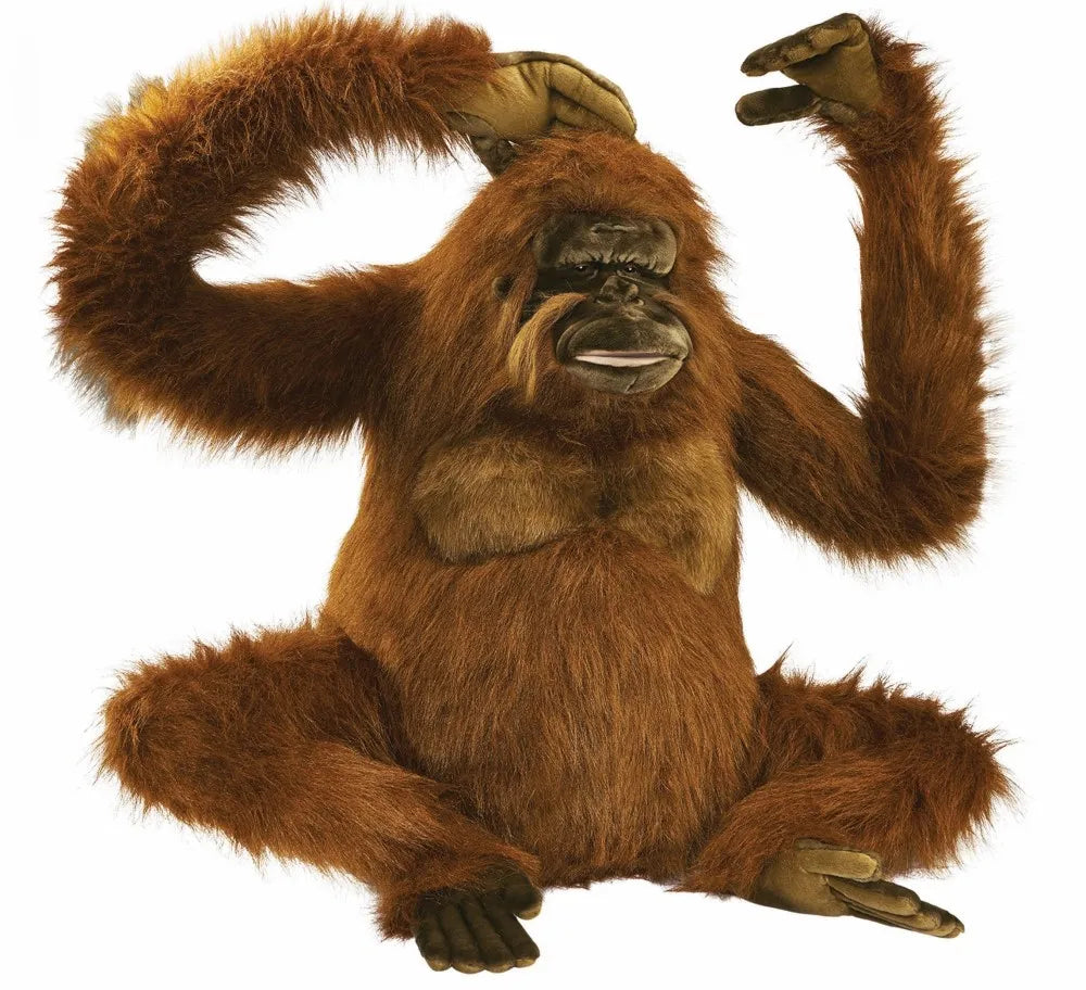 Orangutan Sitting 80cmH