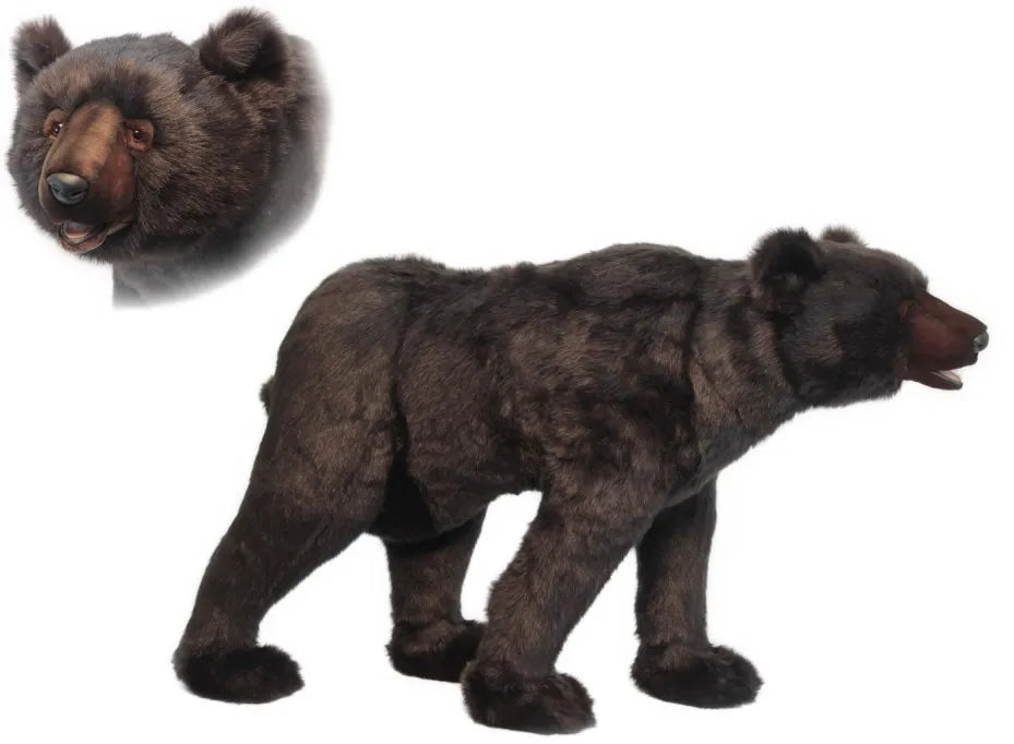 Brown Bear 142cmL