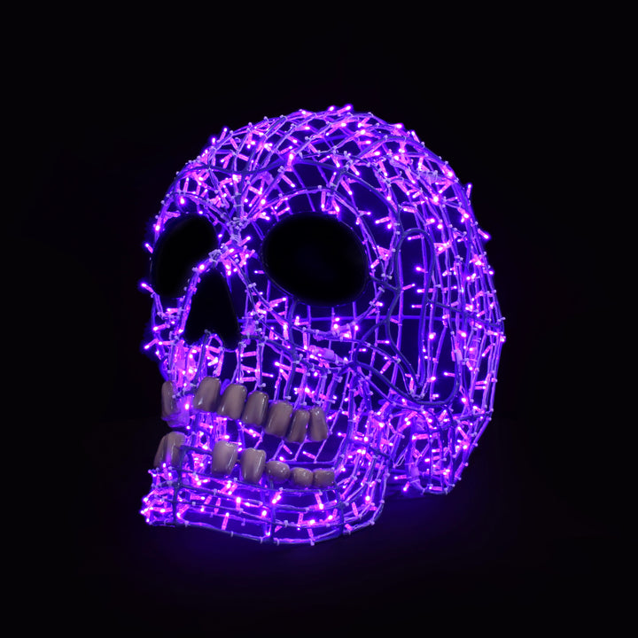 Skulls
