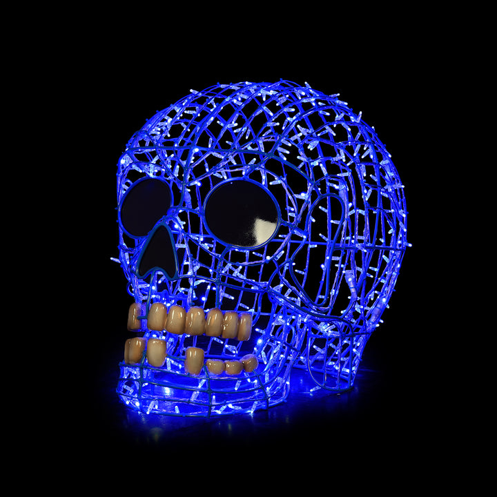 Skulls