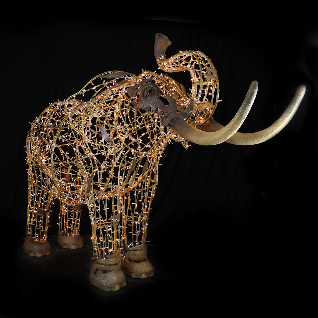 Jumbo Elephant