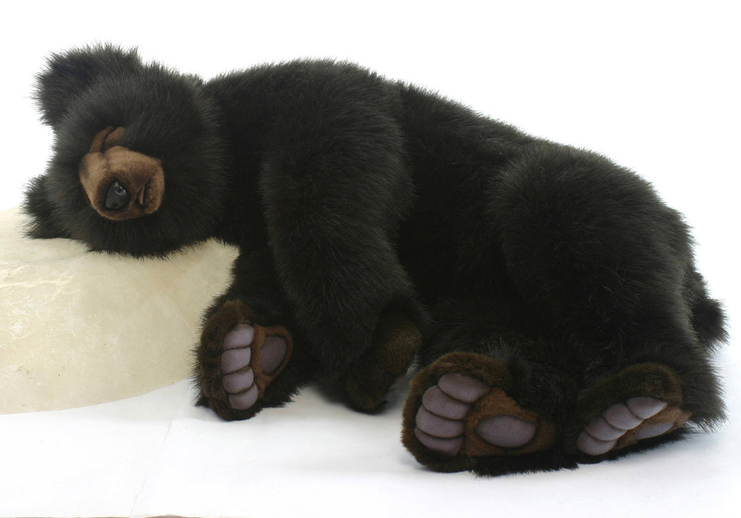 Brown Bear Sleeping