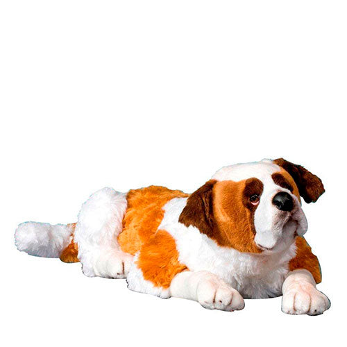 St. Bernard