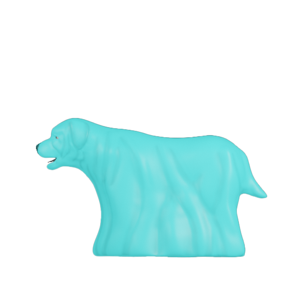 A ghost dog