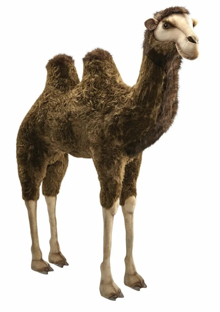 Animatronics Bactrian Camel - 67in Tall – Universal Statues LLC