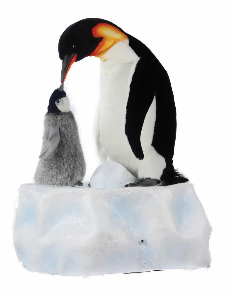 (A) Penguin Doting 60cmH