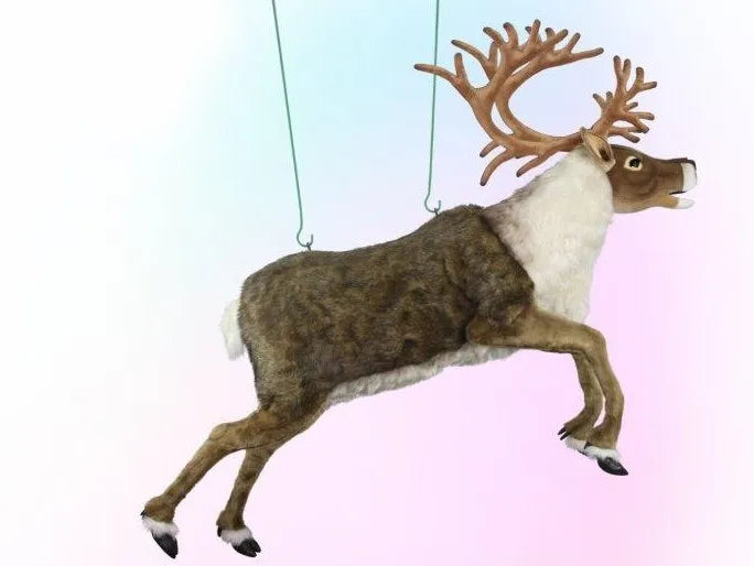 Flying Nordic Reindeer without Accessories 172cmL