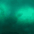 Ornament Green