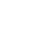 Ornament White