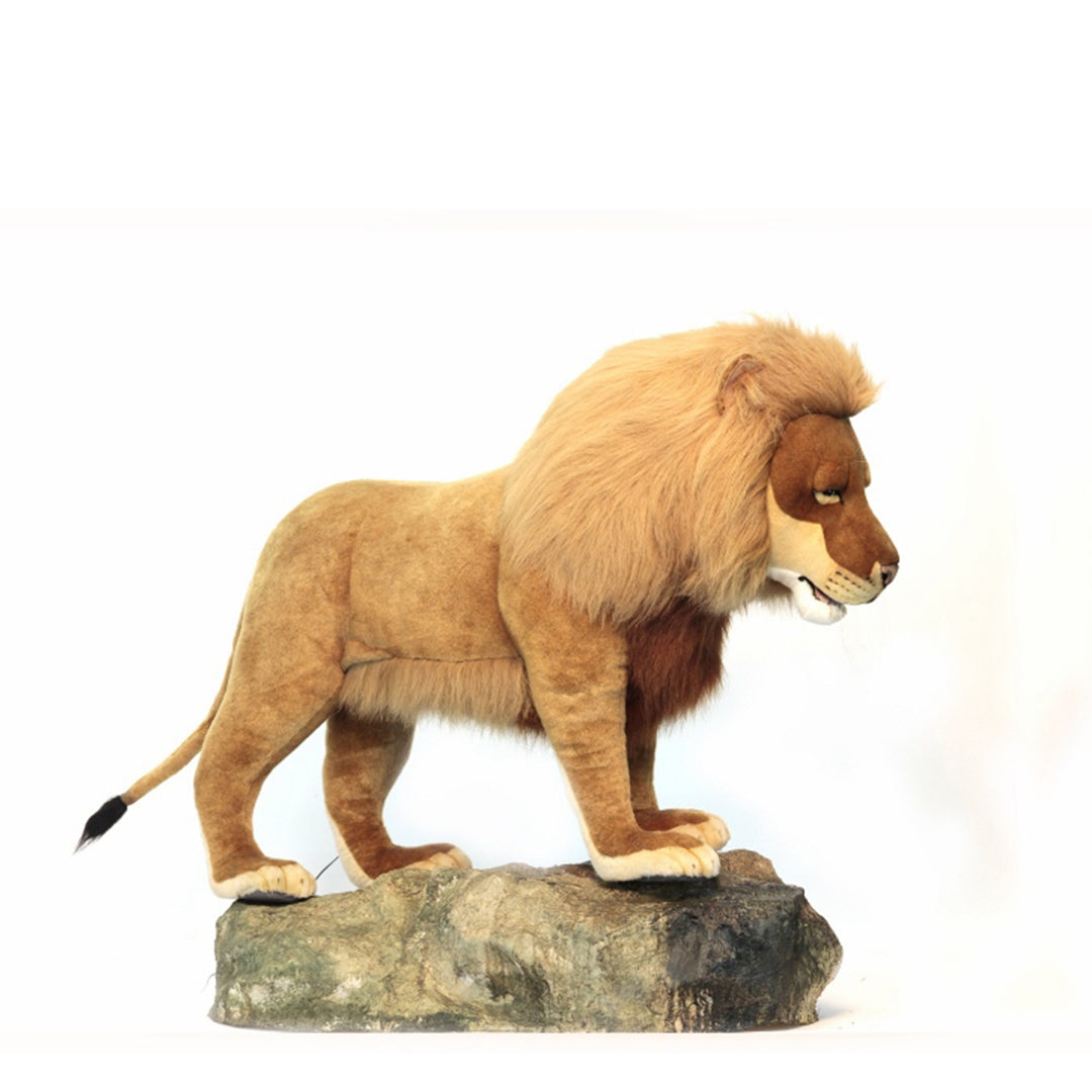 Lion Male on Rock (HTC 566)