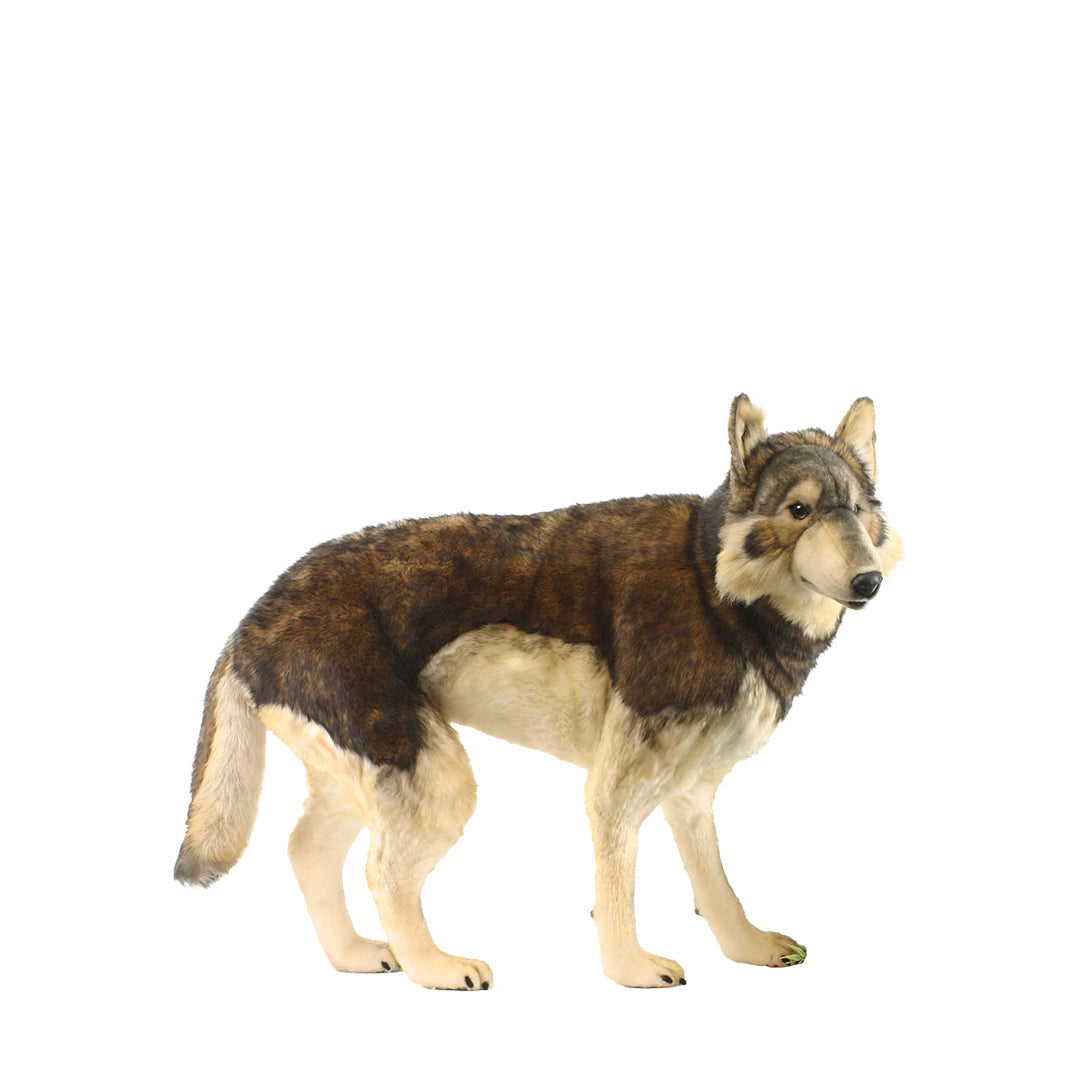 Timber Wolf Standing - (HTC 5496)