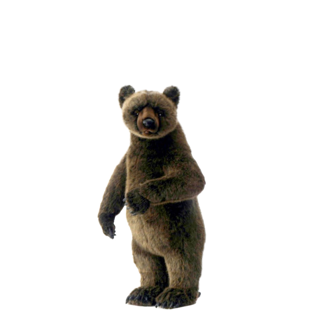 Grizzly Bear Standing 66cm. H -  (HTC 3606)
