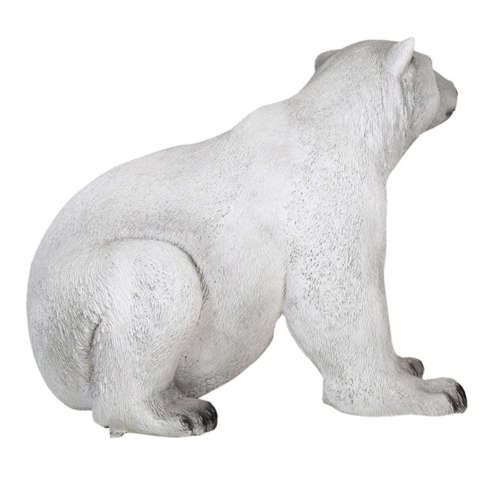 Polar Bear Sitting