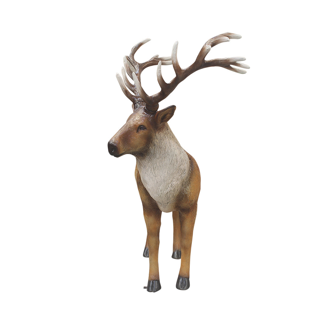 Stag