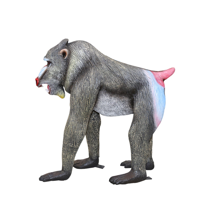 Baboon