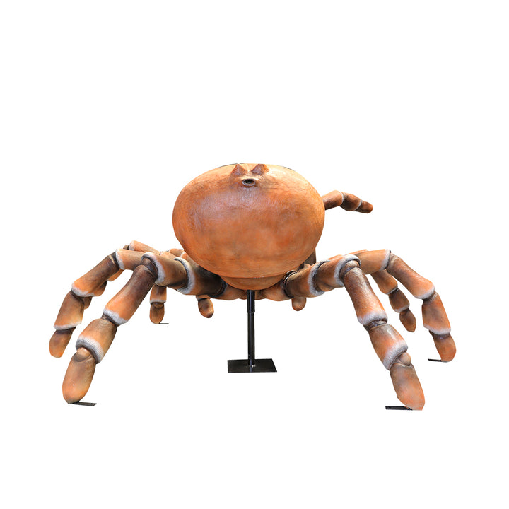 Giant Tarantula