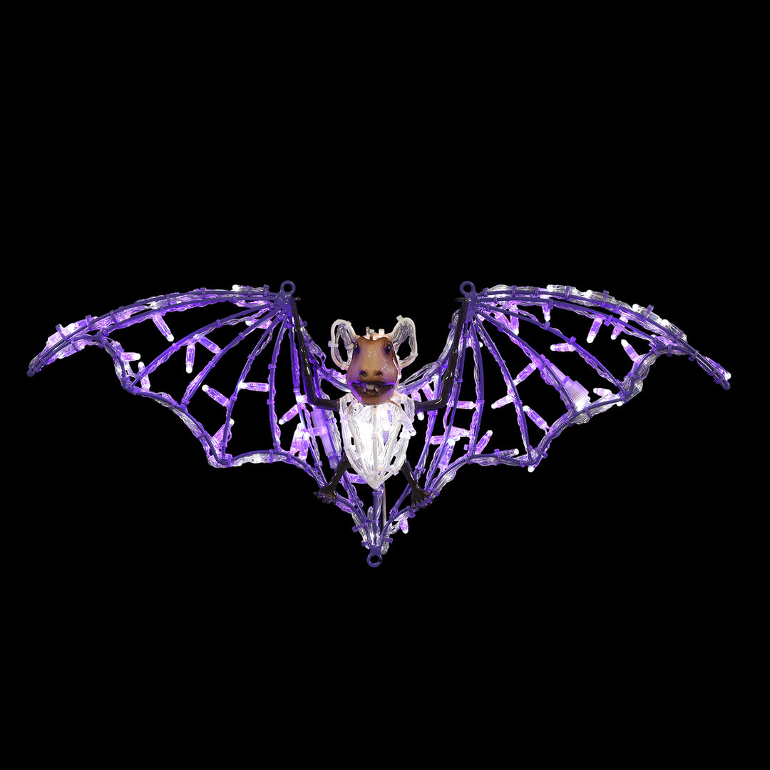 Bats