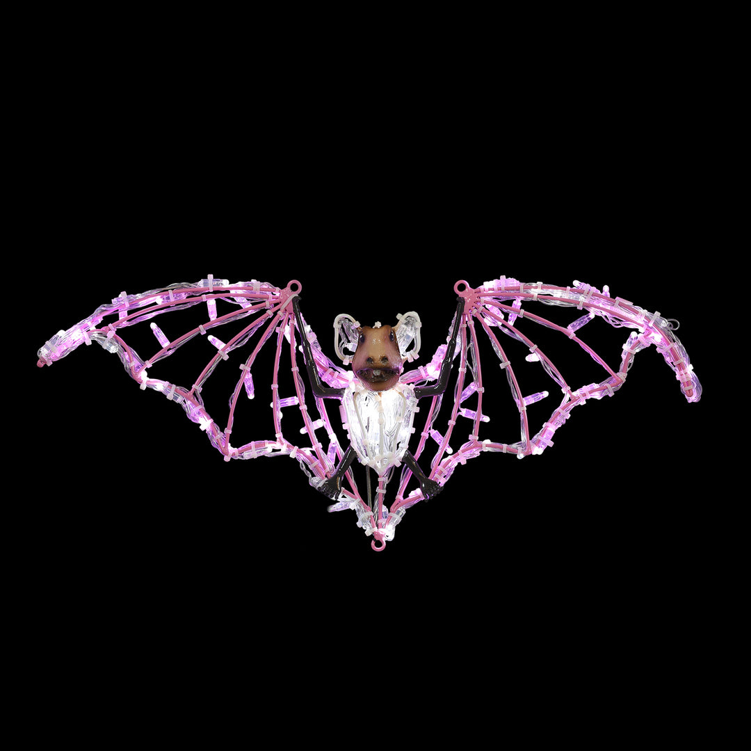 Bats