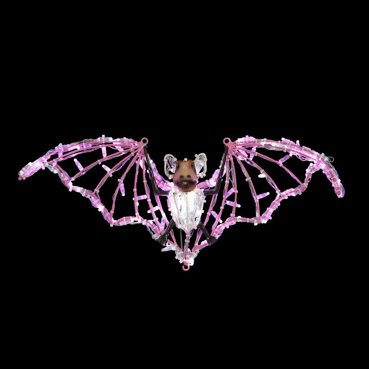 Bats