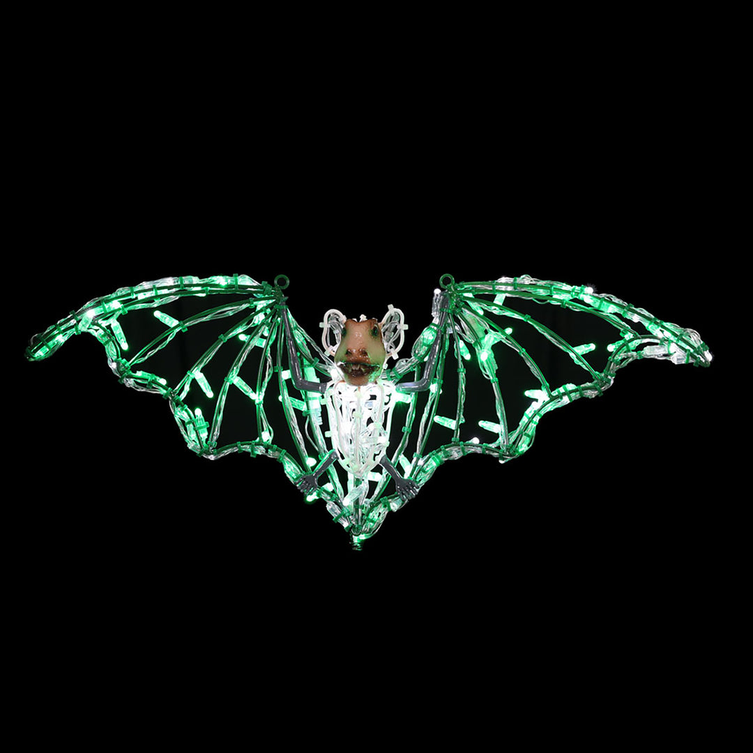 Bats