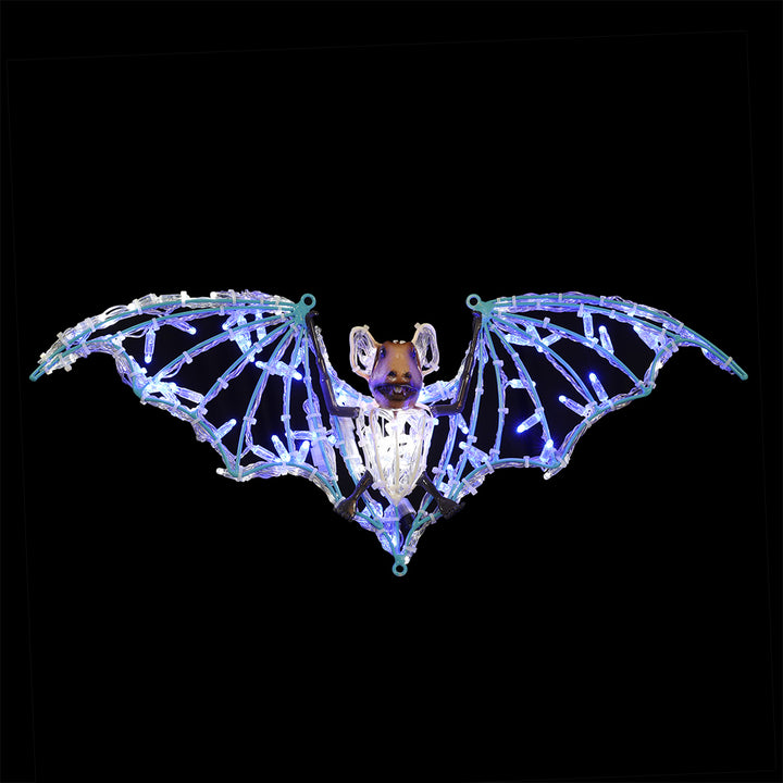 Bats