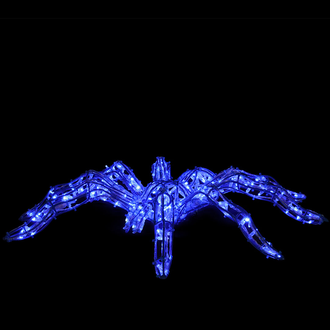 Spiders