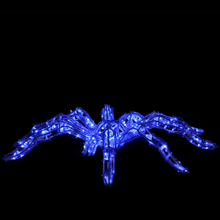 Spiders