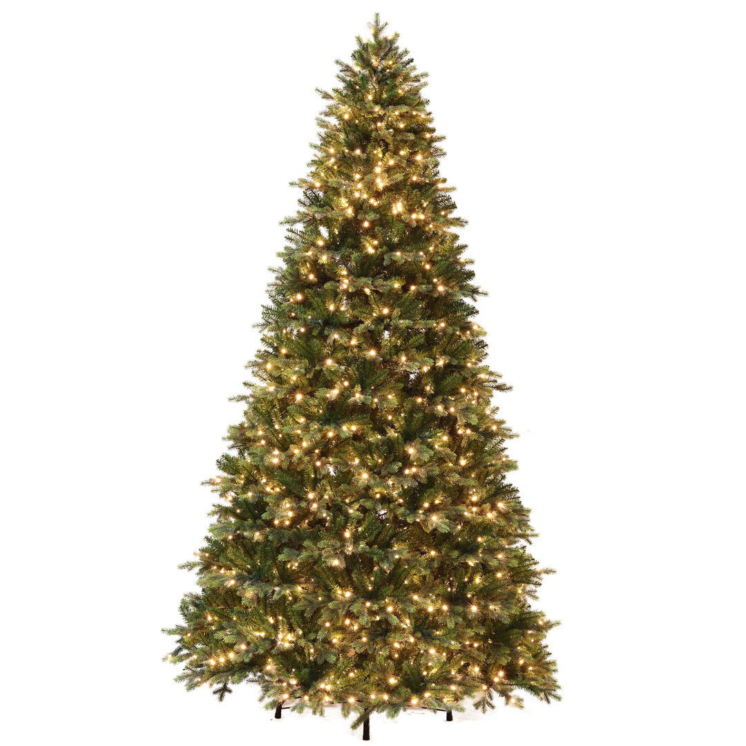 Blackcomb Pine 9FT Christmas Tree with Warm White 5MM Outdoor LED Lights