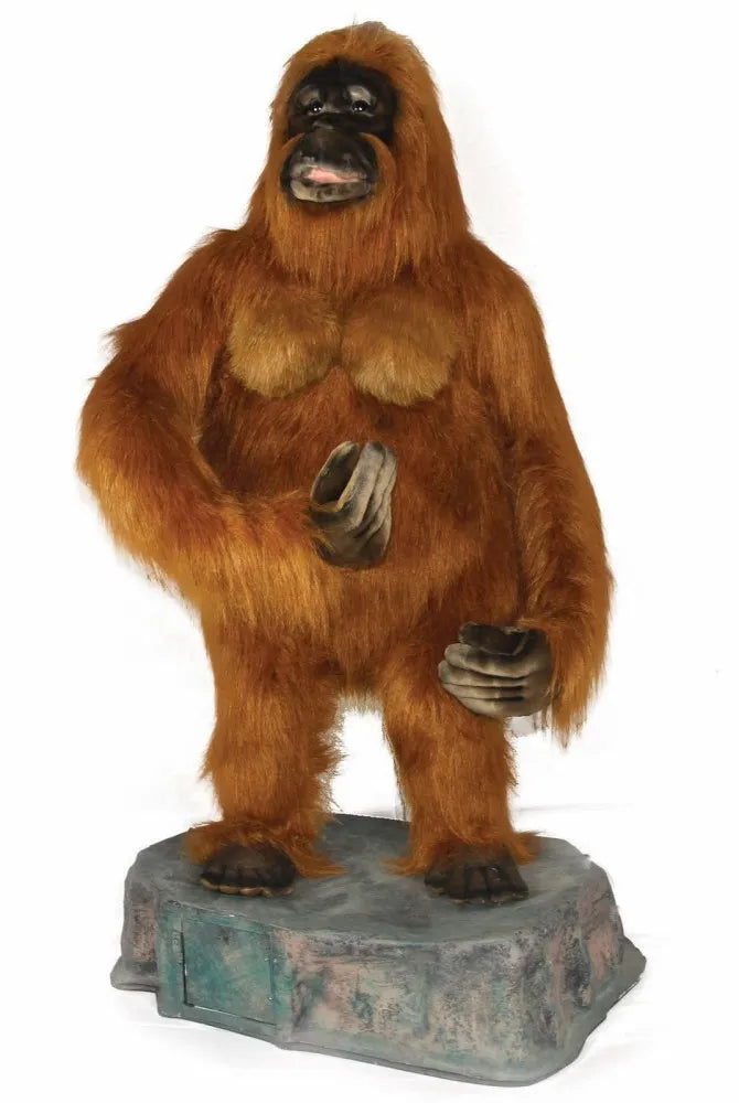 (A) Adam Orangutan 43in H