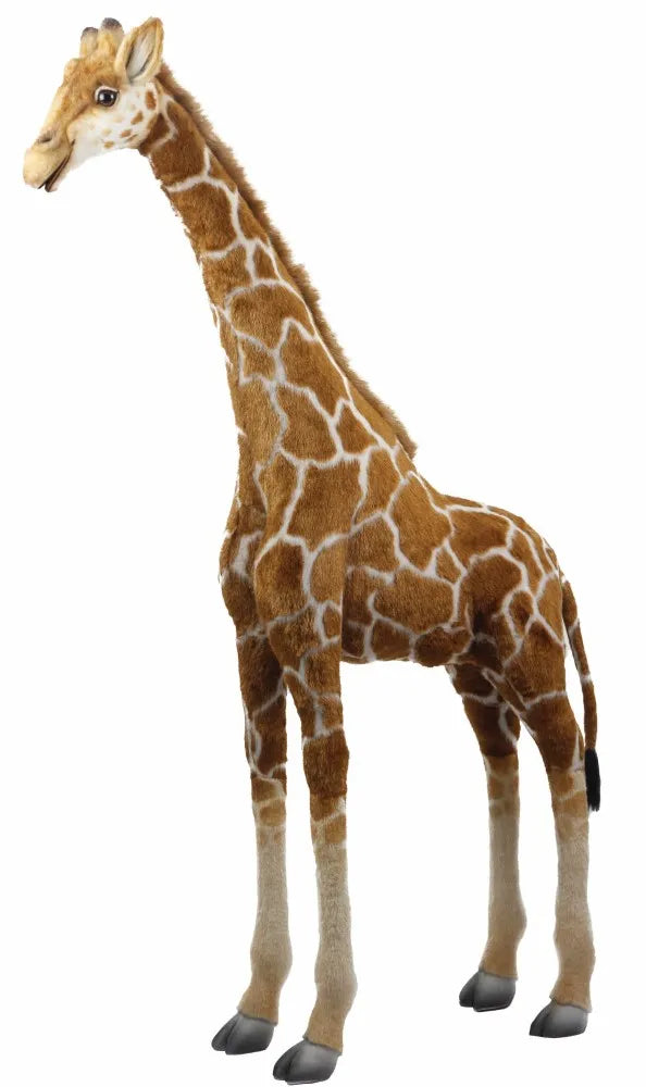(A) Giraffe 51in H