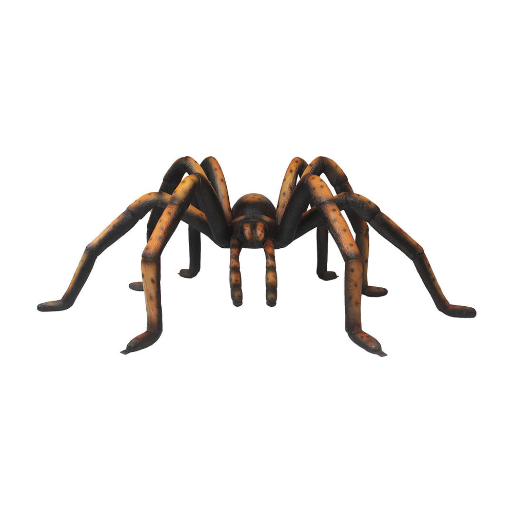 A black Recluse spider