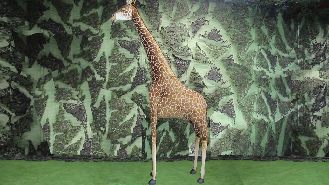 (A) Giraffe 146in H
