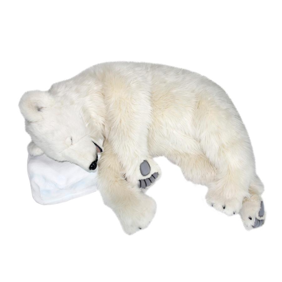 Polar Bear Sleeping on Rock