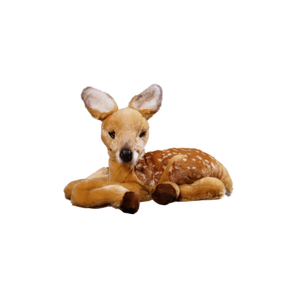 Fawn, Lying