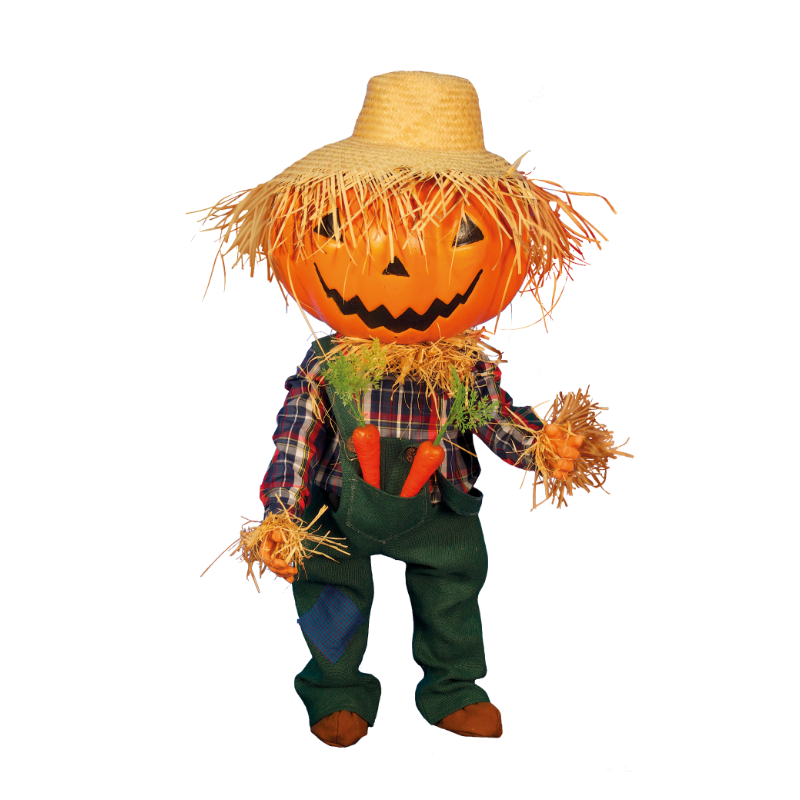 Halloween Pumpkin Boy