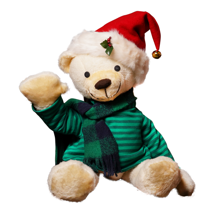 Elfin, the Teddy Bear