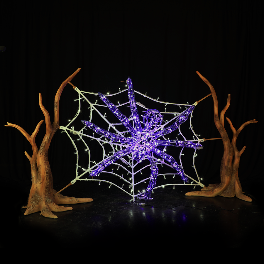 Spider Web and Spider Purple