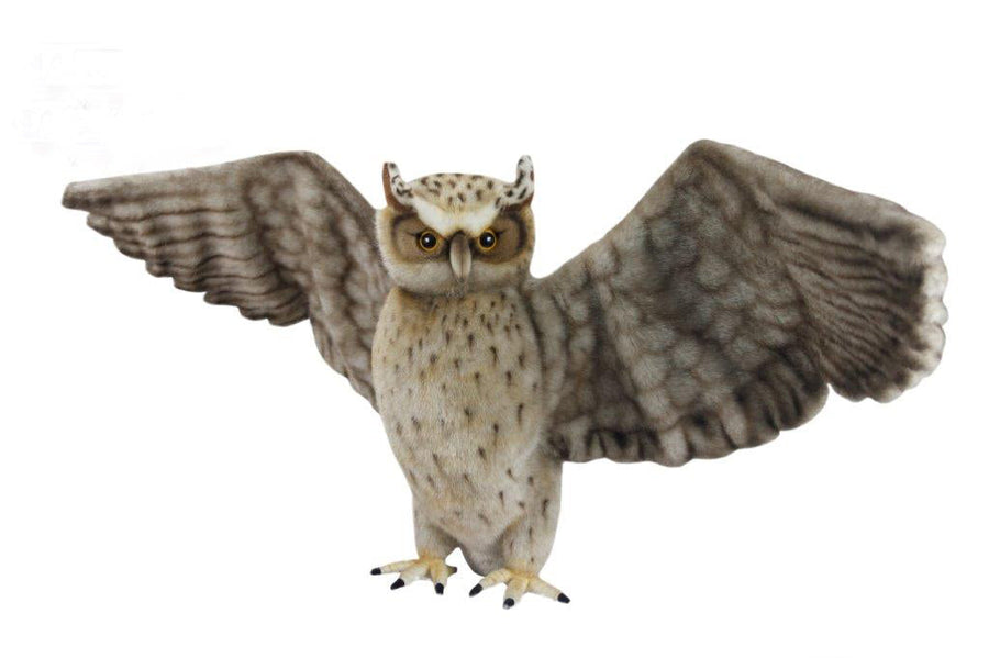 Fish Owl Spread Wing 102cmW