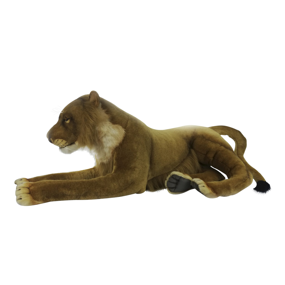 Lioness Laying