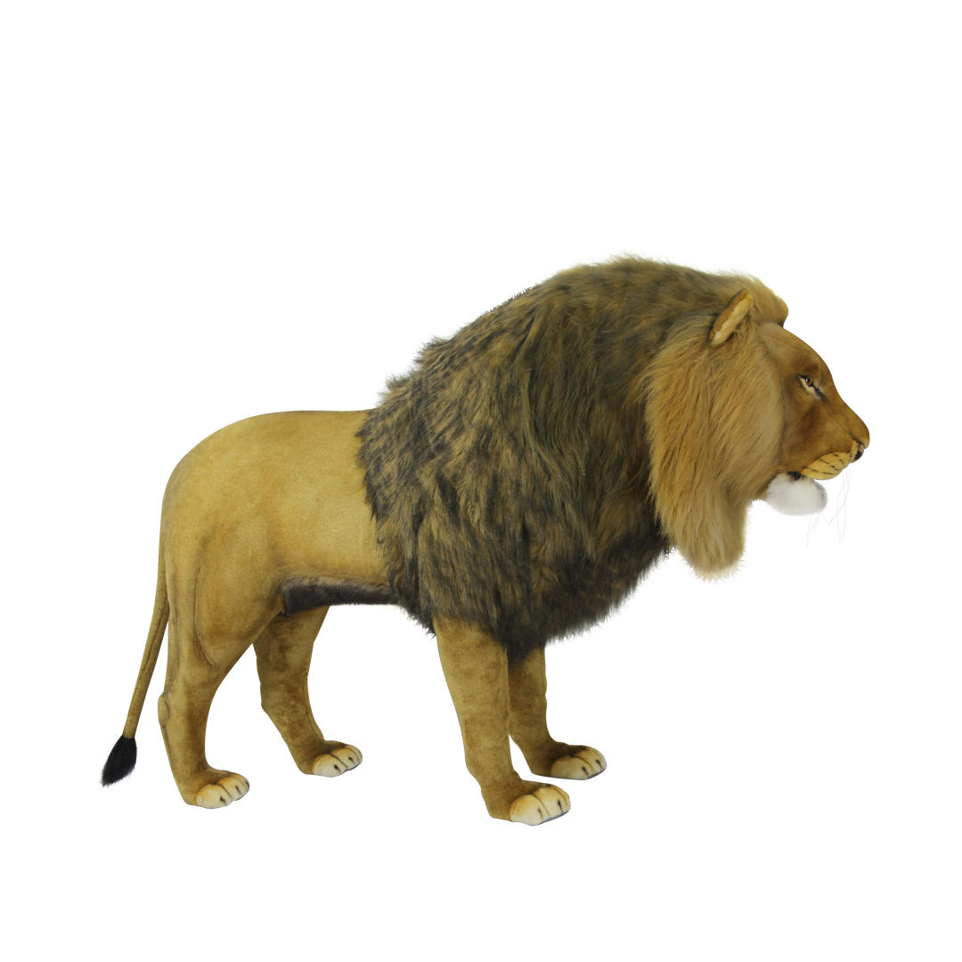 Lion Standing