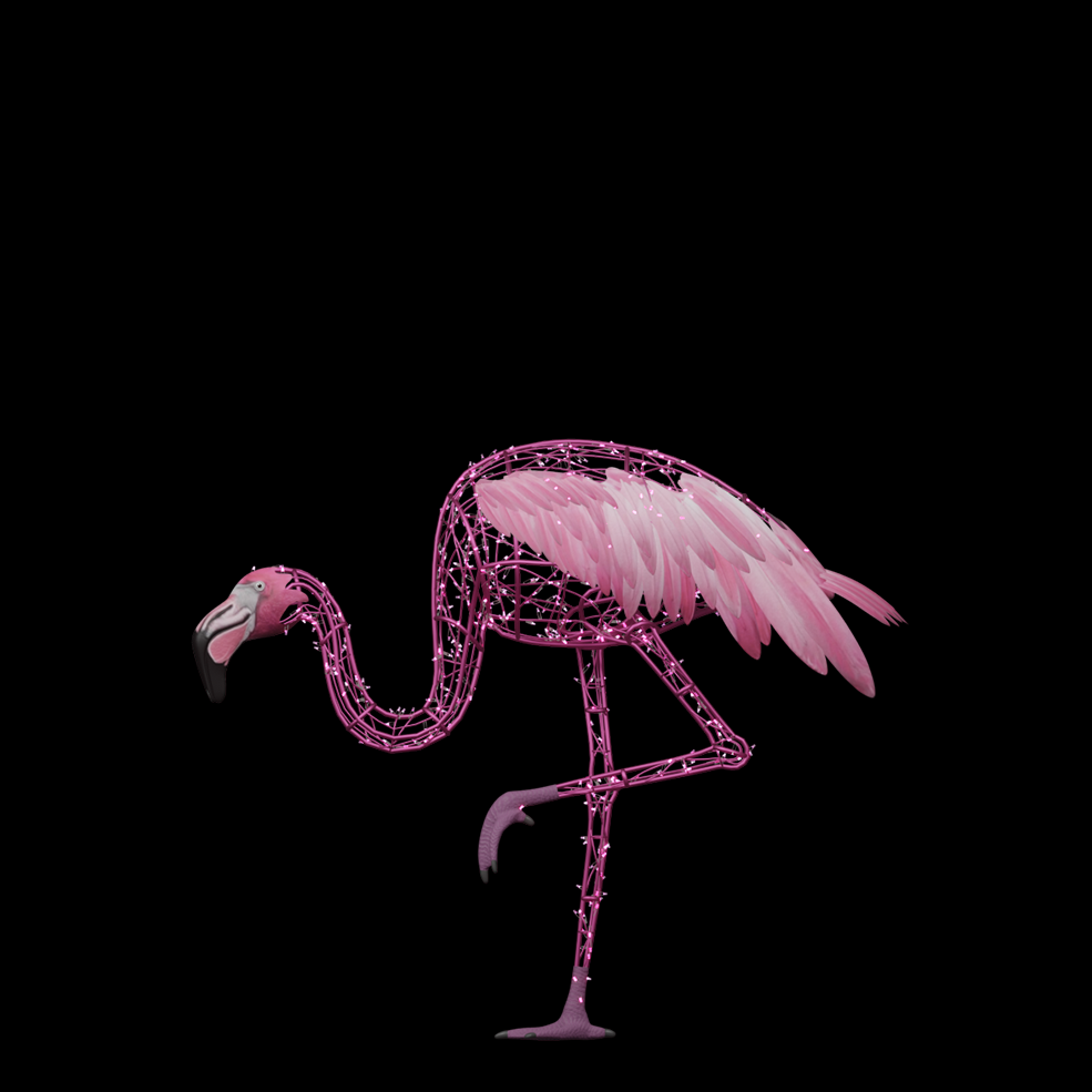 Flamingo Standing On One Leg