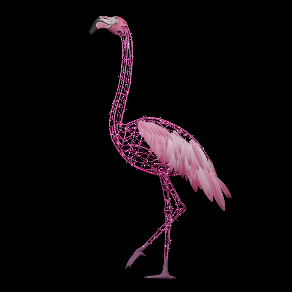 Flamingo Walking