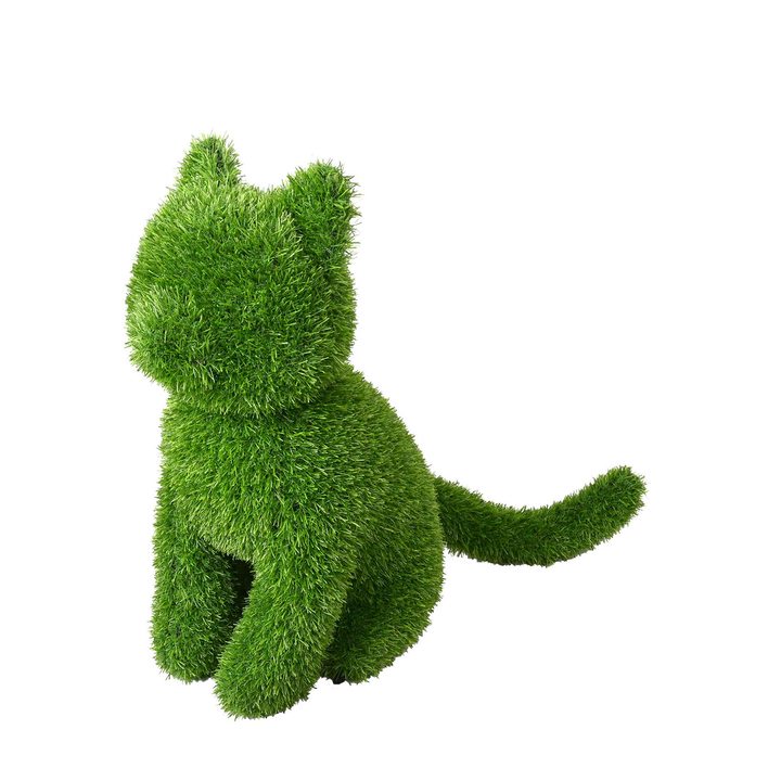 Sitting Cat