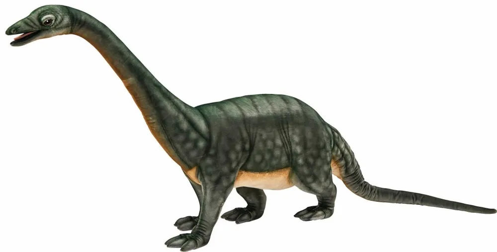 (A) Brontosaurus 200cmH