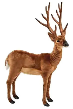 (A) White Tail Deer 105cmH