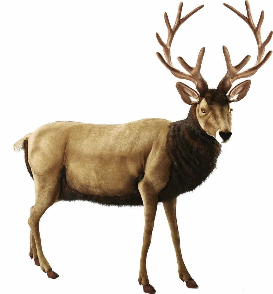(A) Deer 200cmH
