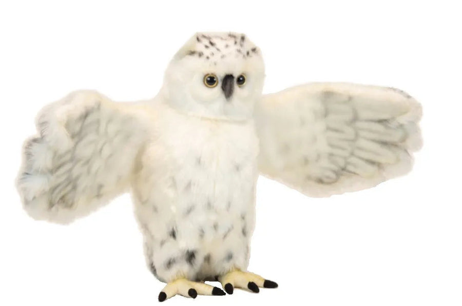 (A) Snowy Owl Flying 54cmW