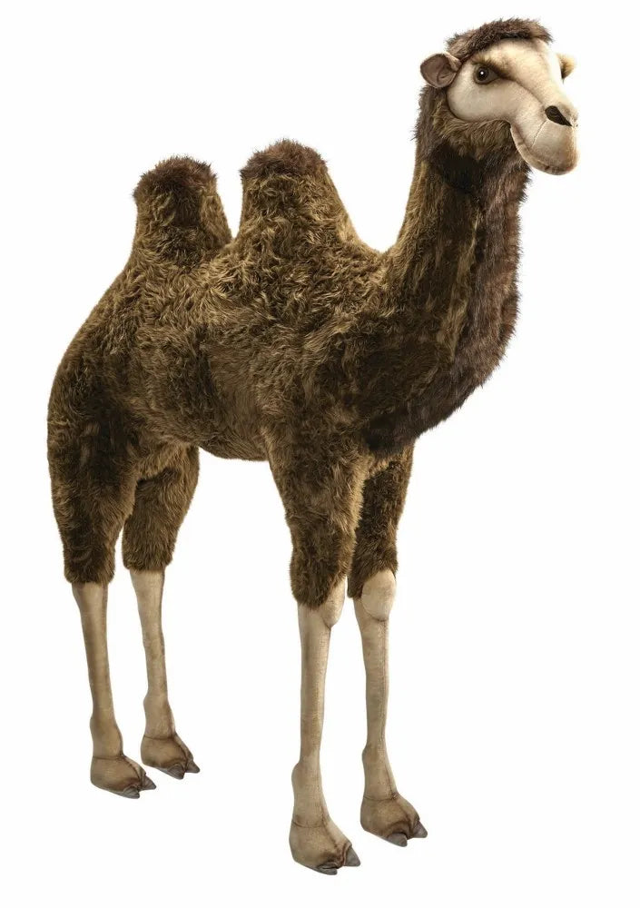 (A) Bactrian Camel 170cmH